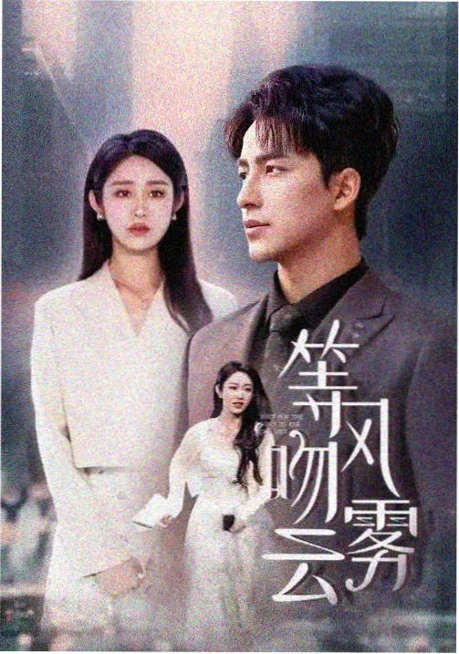 蜜桃TV电视剧雾港夜航免费在线观看