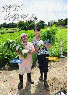 蜜桃TV综艺周末开麦啦免费观看